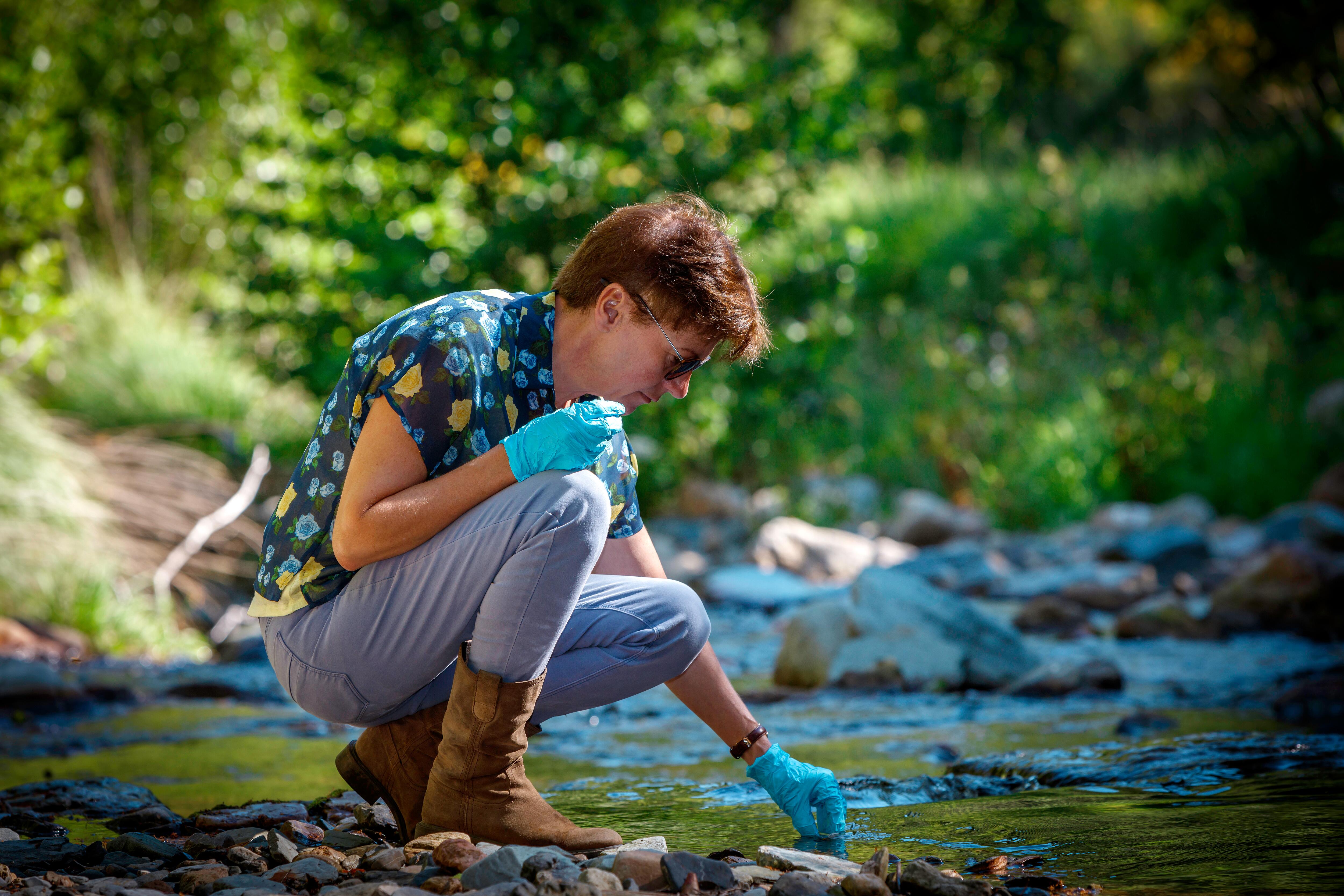 kl_mint_active-ingredient_field_plant_2019 -170-